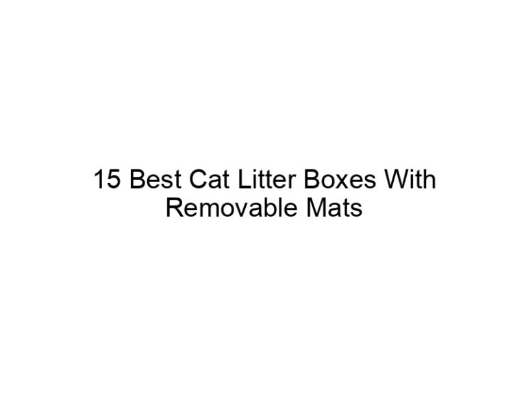 15 best cat litter boxes with removable mats 22460