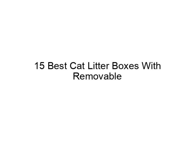 15 best cat litter boxes with removable partitions and bases 22506