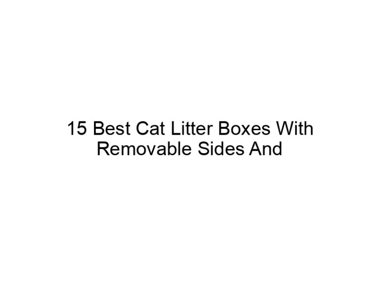 15 best cat litter boxes with removable sides and bottoms 22466