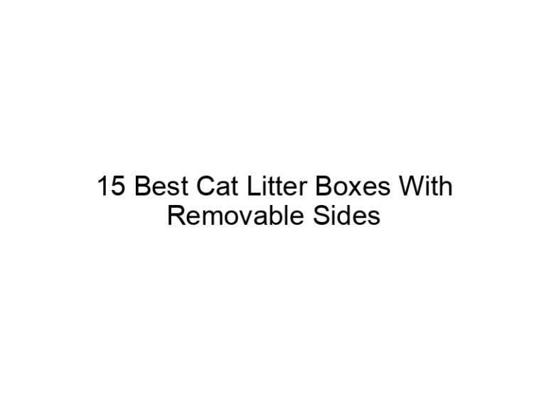 15 best cat litter boxes with removable sides 22455