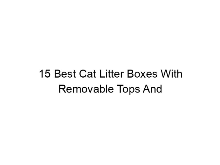15 best cat litter boxes with removable tops and floors 22486