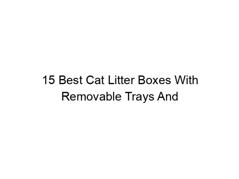 15 best cat litter boxes with removable trays and floors 22479