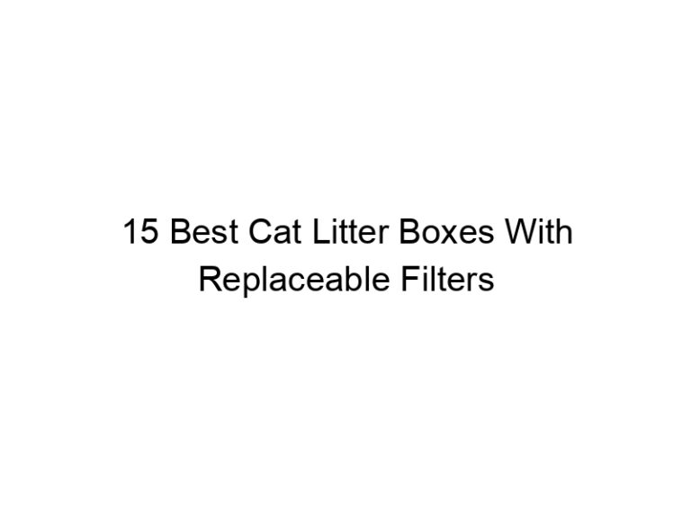 15 best cat litter boxes with replaceable filters 22536