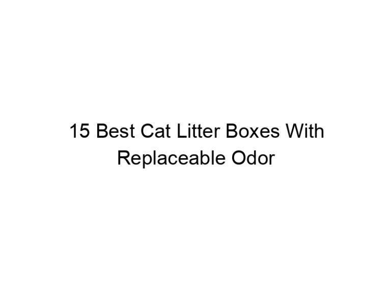 15 best cat litter boxes with replaceable odor control filters 22661