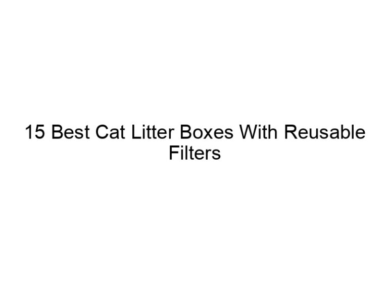 15 best cat litter boxes with reusable filters 22538