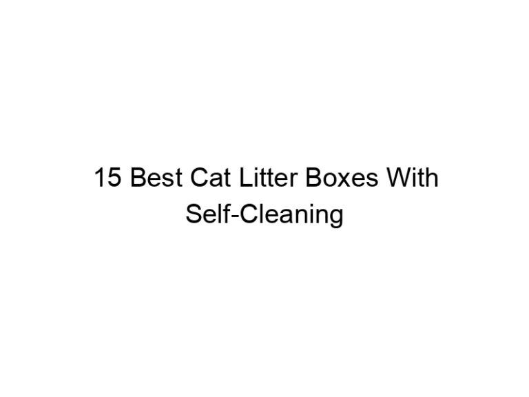 15 best cat litter boxes with self cleaning 22436