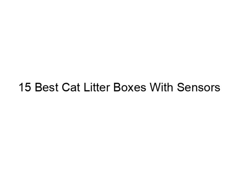 15 best cat litter boxes with sensors 22434