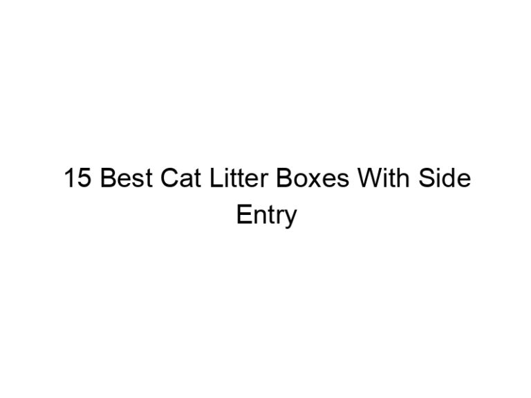 15 best cat litter boxes with side entry 22442