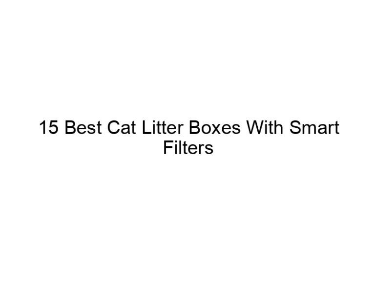 15 best cat litter boxes with smart filters 22554