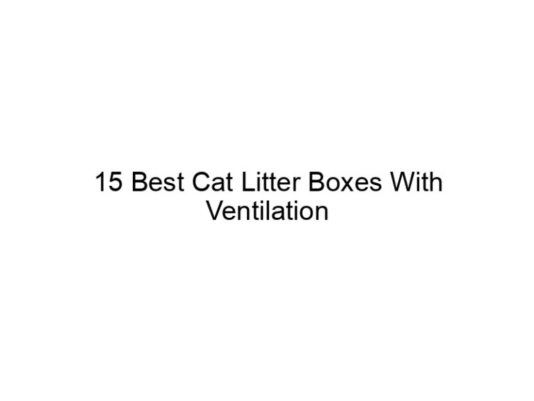 15 best cat litter boxes with ventilation 22529