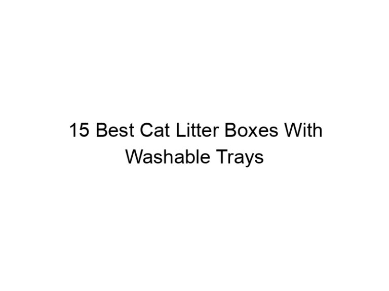 15 best cat litter boxes with washable trays 22439