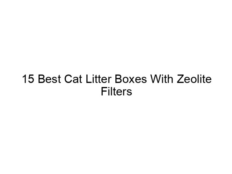 15 best cat litter boxes with zeolite filters 22532