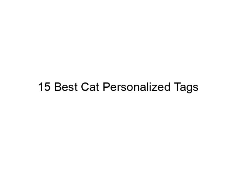 15 best cat personalized tags 22911