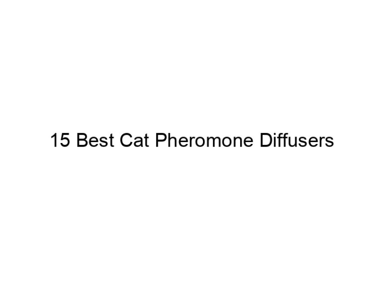 15 best cat pheromone diffusers 22898