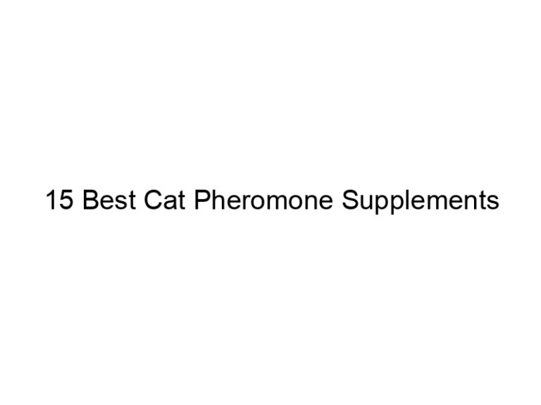15 best cat pheromone supplements 22902