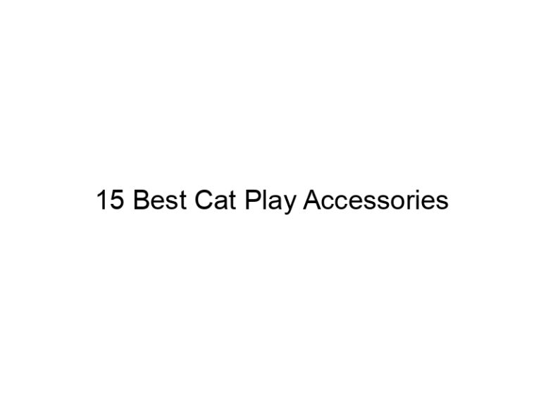 15 best cat play accessories 22723
