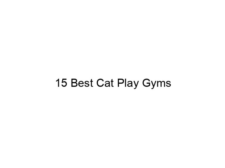 15 best cat play gyms 22718