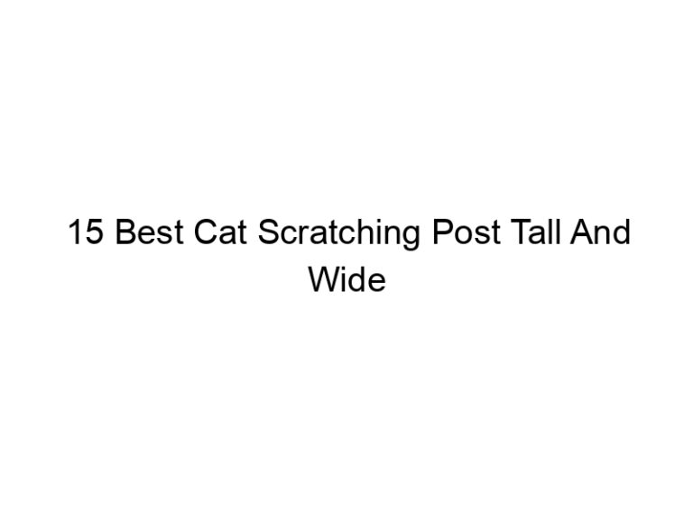 15 best cat scratching post tall and wide 6130