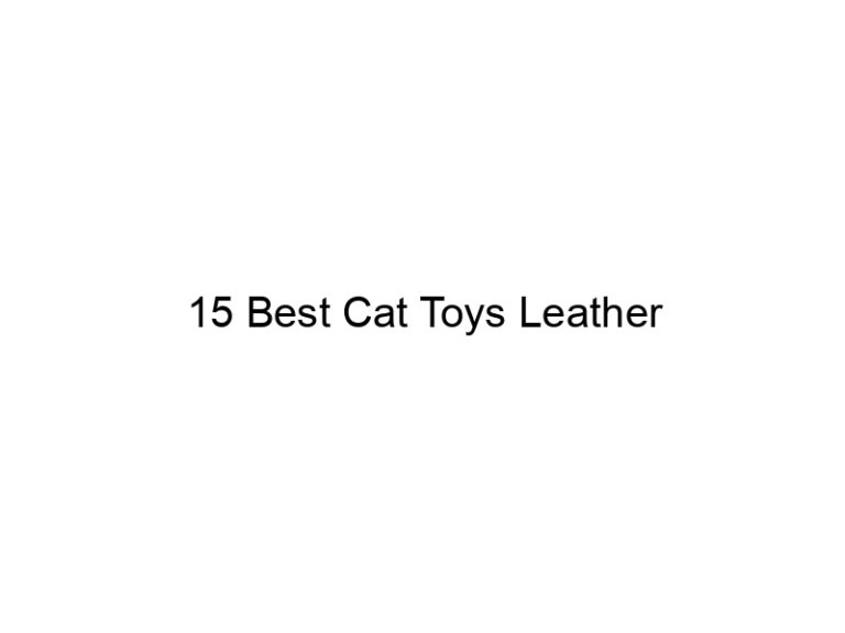 15 best cat toys leather 22703