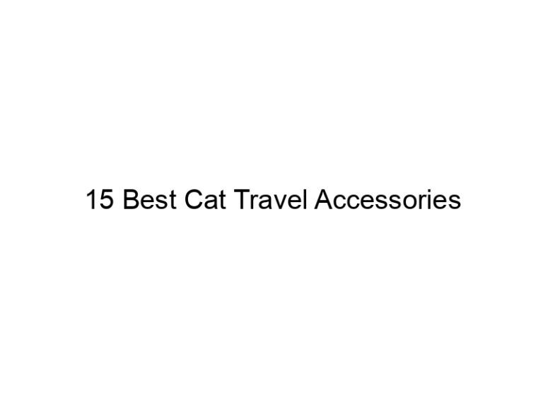 15 best cat travel accessories 22746