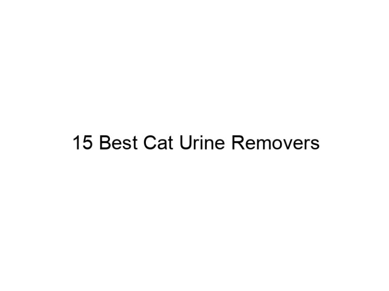 15 best cat urine removers 22799