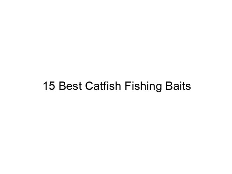 15 best catfish fishing baits 20838