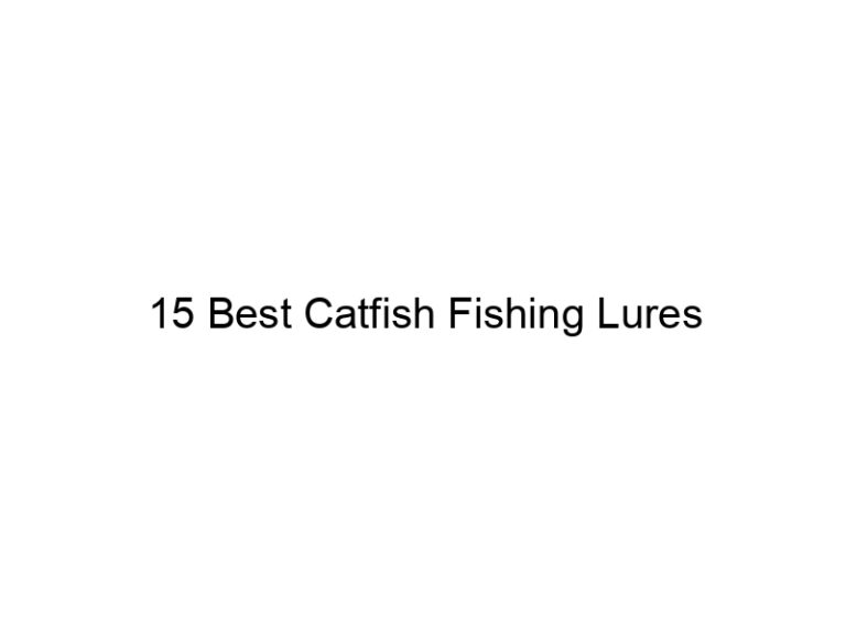 15 best catfish fishing lures 20845