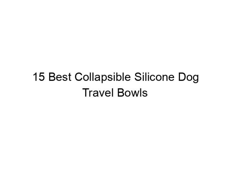 15 best collapsible silicone dog travel bowls 7643