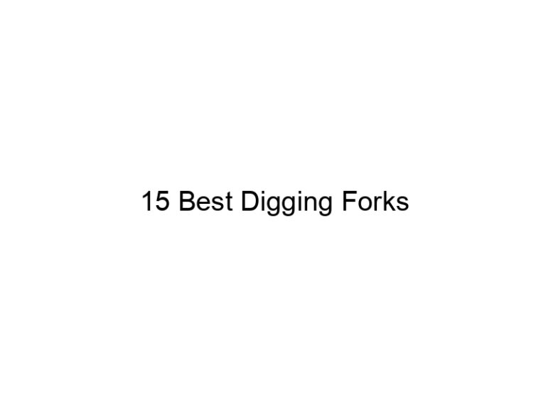 15 best digging forks 20381