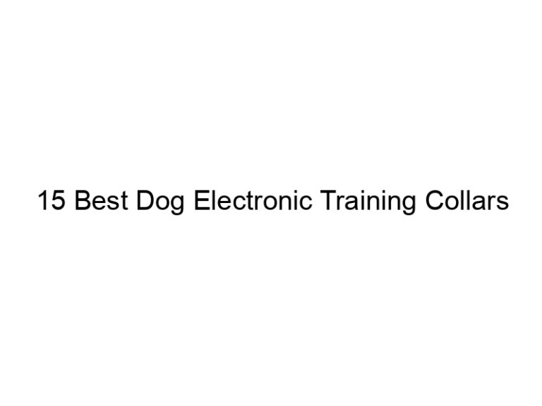 15 best dog electronic training collars 23003