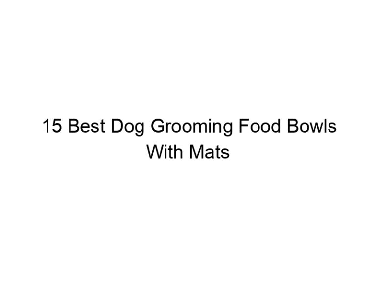 15 best dog grooming food bowls with mats 23098