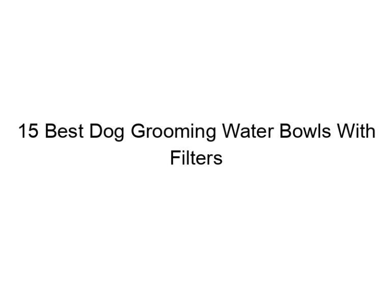 15 best dog grooming water bowls with filters 23099