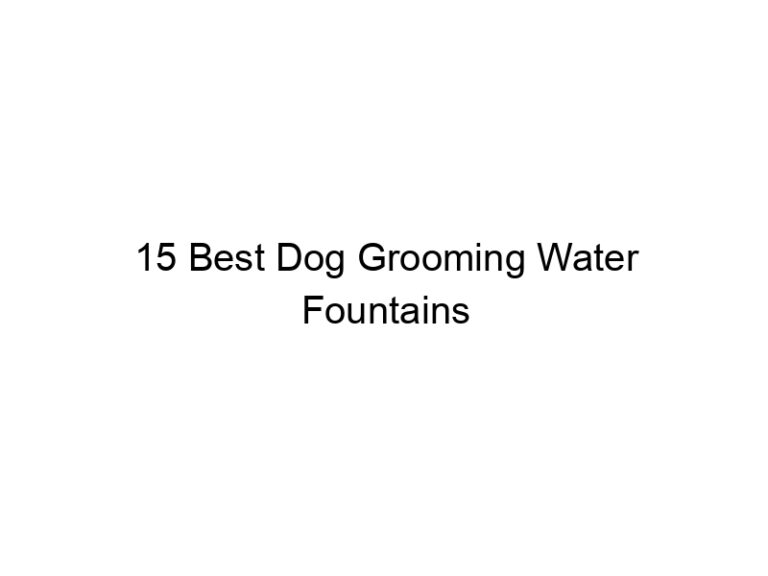 15 best dog grooming water fountains 23159
