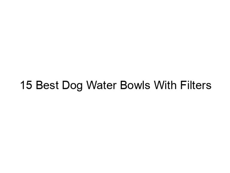 15 best dog water bowls with filters 23043