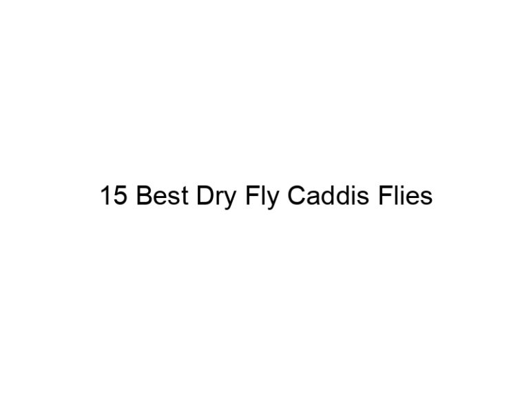 15 best dry fly caddis flies 21537