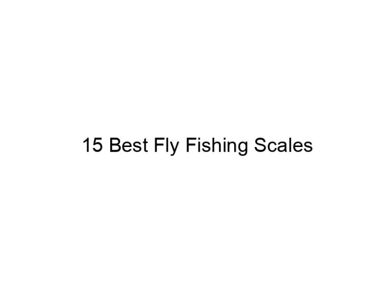 15 best fly fishing scales 20950