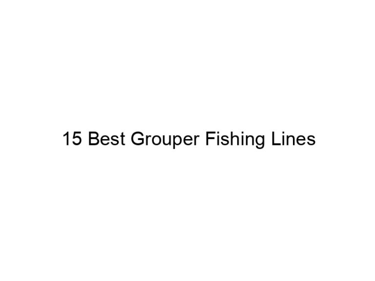 15 best grouper fishing lines 20984