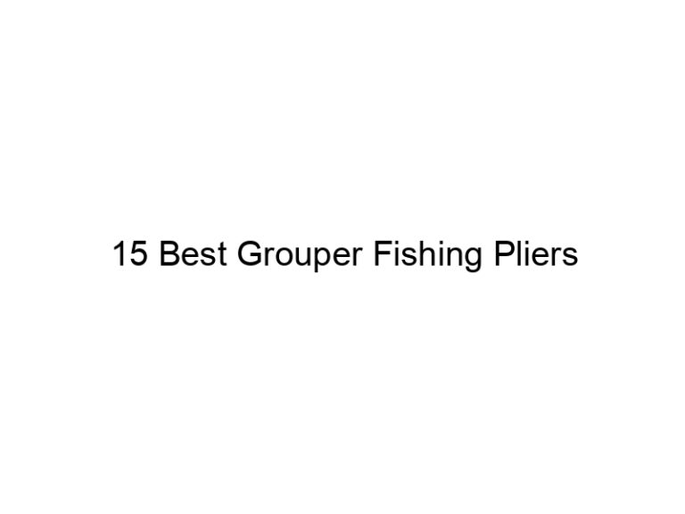 15 best grouper fishing pliers 20987