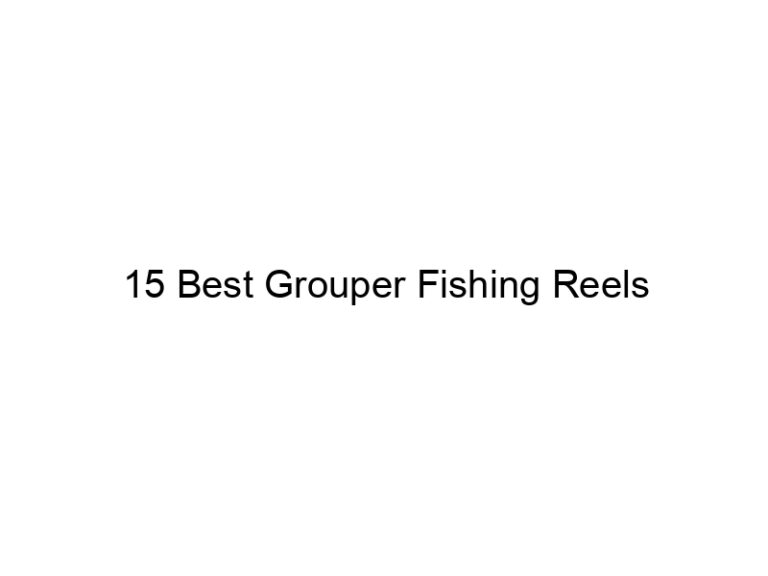 15 best grouper fishing reels 20988