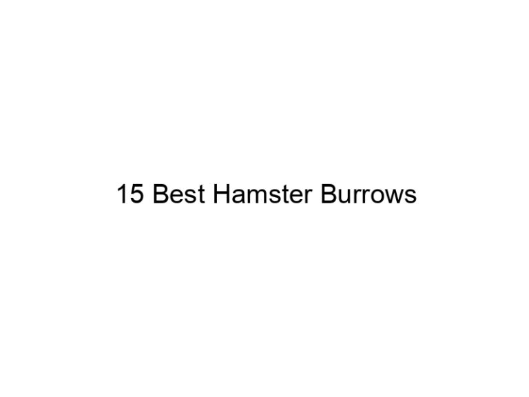 15 best hamster burrows 23197