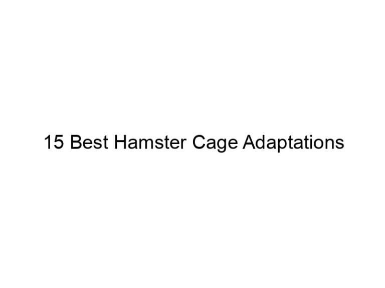 15 best hamster cage adaptations 23343