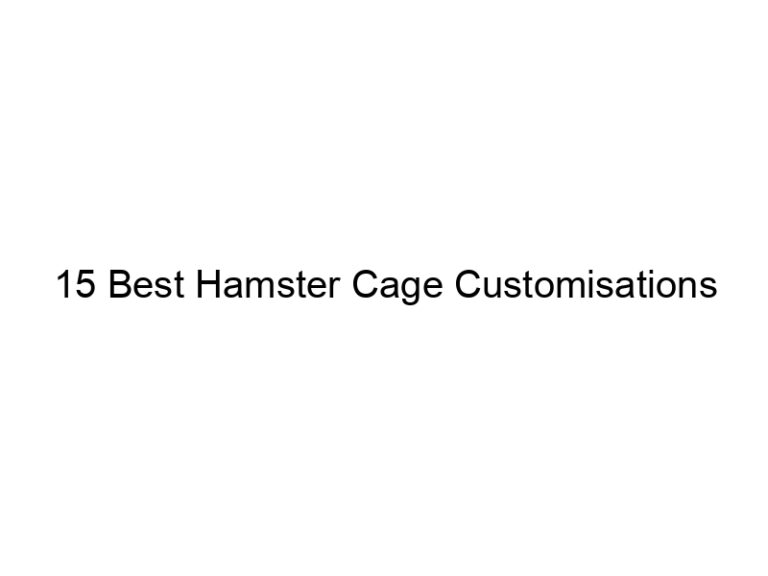 15 best hamster cage customisations 23340