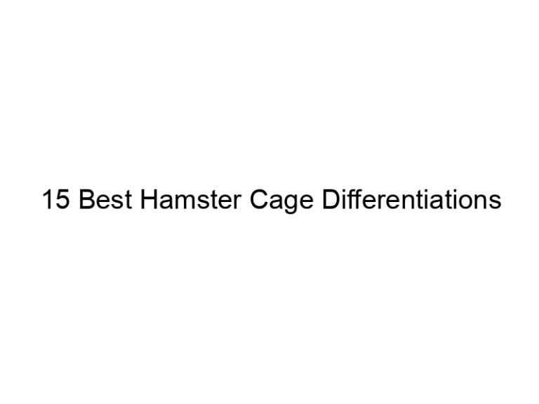 15 best hamster cage differentiations 23348