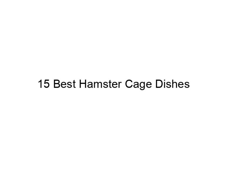 15 best hamster cage dishes 23267