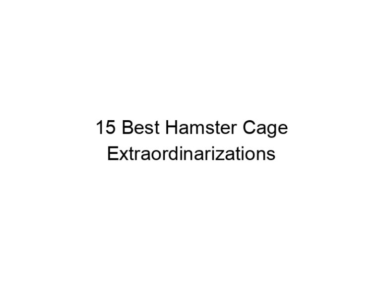 15 best hamster cage extraordinarizations 23381