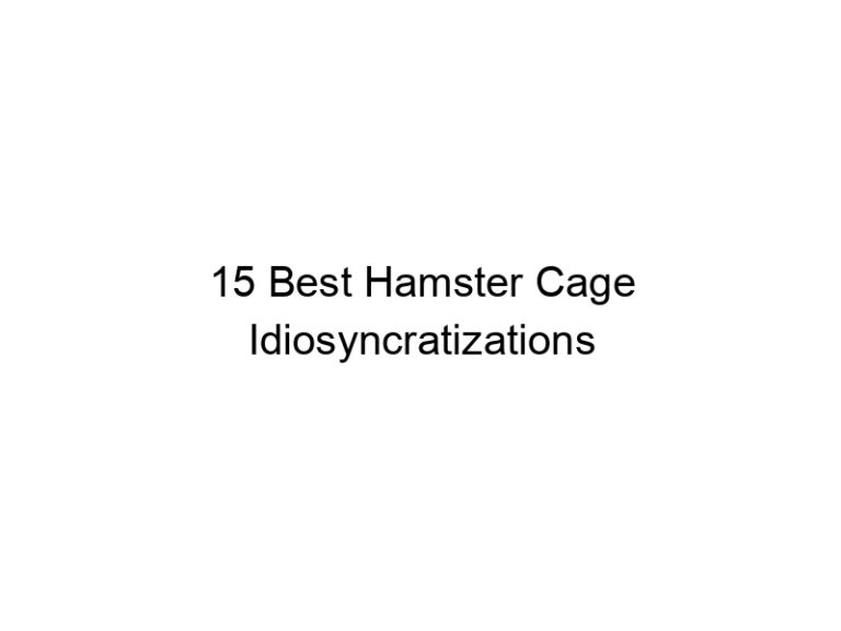 15 best hamster cage idiosyncratizations 23379