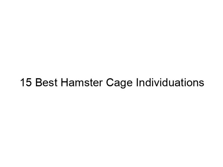 15 best hamster cage individuations 23370