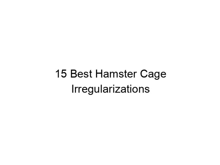 15 best hamster cage irregularizations 23383