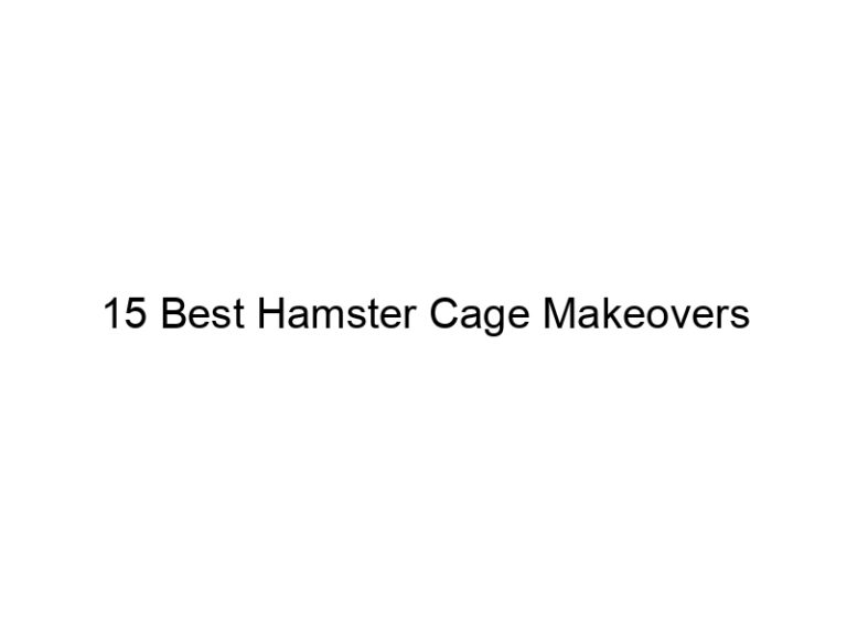 15 best hamster cage makeovers 23294