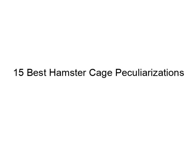15 best hamster cage peculiarizations 23390
